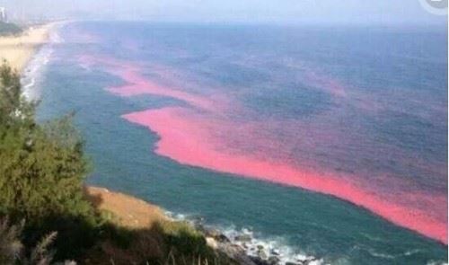 揭秘融凝冰柱之谜 光线反射和微凹产生罕见自然现象