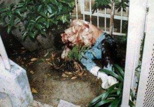 辛普森到底有没有杀妻?揭秘辛普森杀妻案真相不是凶手