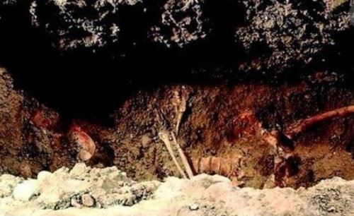 马耳他大地窖之谜 史前建筑惊现七千具骸骨未解之谜