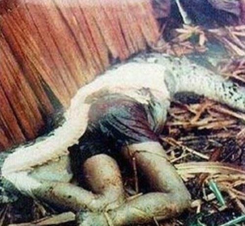 骇人听闻的大蛇吞人事件 巨蟒肚内惊见好友