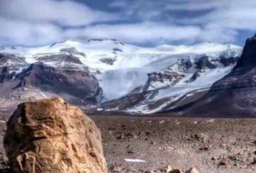 揭秘南极无雪干谷之谜 大量海豹骸骨无法解释自然现象
