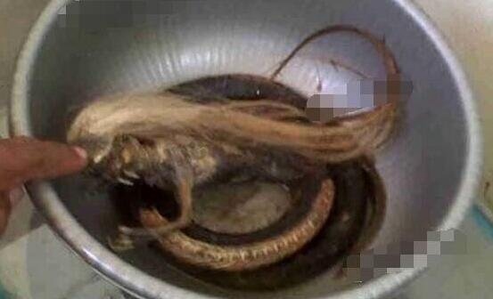 人头蛇身怪物震惊全球