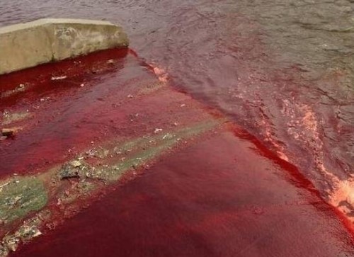 诡异的印度血雨从天而降 证实外星生物竟真实存在附图