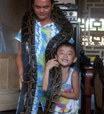 看家蛇为什么不能打死 看家蛇是四鳗青蛇打死会遭报复