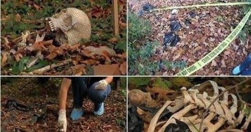 美国恐怖的尸体农场 专门研究腐烂尸体的场所重口慎点