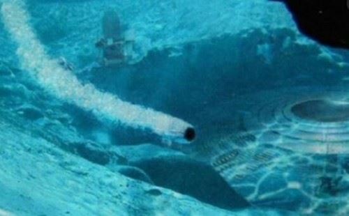 探秘神奇的南极不冻湖之谜 零下九十度不结冰科学无解