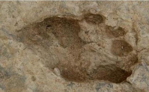 肯尼亚惊现150万年前脚印 科学证实是史前人类的脚印