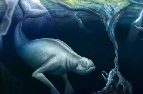 南极怪物ningen真相 实则日本科学家秘密制造的新物种