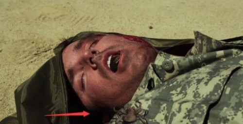 食人巨蛛巨骆驼蜘蛛 蚕食美国大兵的疯狂避日蛛