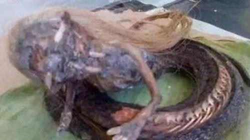 人头蛇身怪物震惊全球