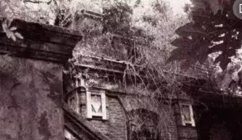 1956年上海林家宅37号神秘事件之谜 被无脑人灭门/真相
