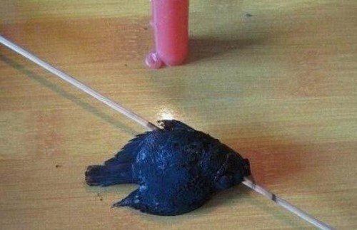 天涯曝光虐鱼女图片 女子直播烧烤金鱼给男友吃残忍