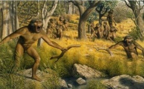 解密人类进化谜团 人类是杂交后代交换基因形成人