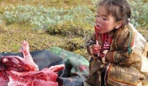 俄罗斯涅涅茨人是不是黄种人?涅涅茨人为什么吃生肉