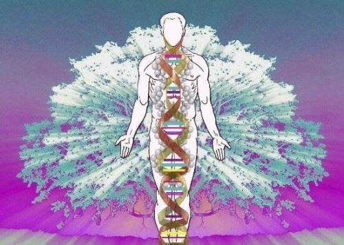 科学解释人死后的世界 人死后的世界是什么样的
