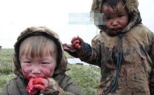 俄罗斯涅涅茨人是不是黄种人?涅涅茨人为什么吃生肉