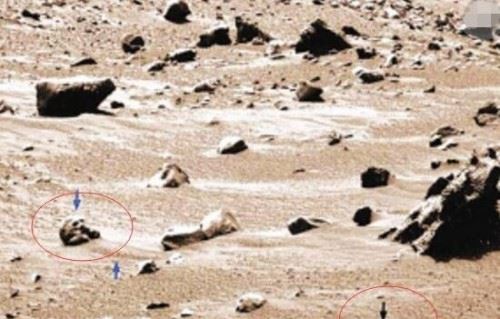 火星人头骨之谜 火星惊现外星人头骨谣言/拍摄角度造成