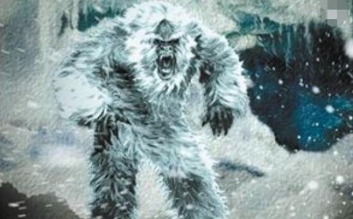 喜马拉雅山雪人之谜 全身灰黄色的毛半人半猿生物