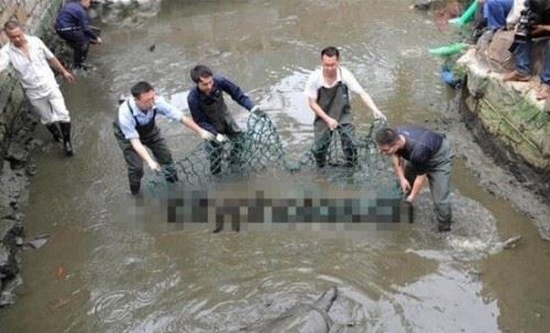 1998年大洪水出现龙尸是真的吗?98年洪水冲出龙尸图片