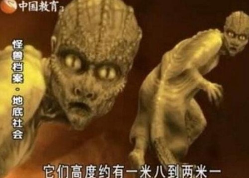 揭秘蜥蜴人之谜 蜥蜴人真的存在吗美国人目击蜥蜴人