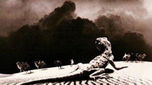 1978年罗布泊食人蜥蜴事件 罗布泊核爆炸死千条巨蜥