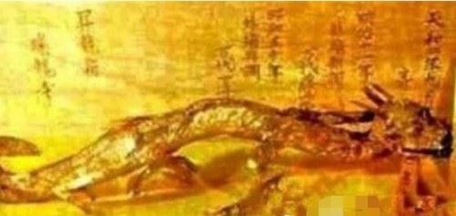 1998年大洪水出现龙尸是真的吗?98年洪水冲出龙尸图片