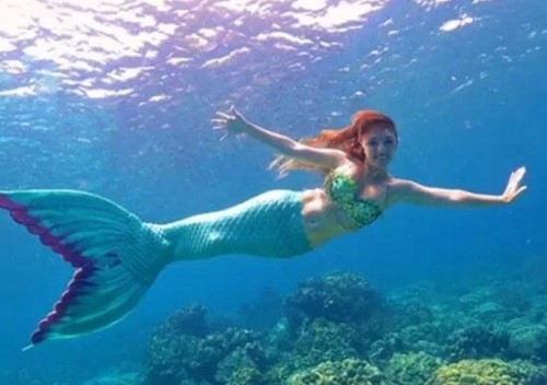 世界上最漂亮的美人鱼 海底真正美人鱼的照片曝光