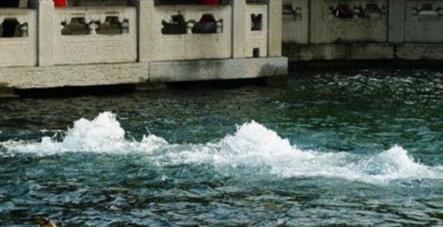 1998年大洪水出现龙尸是真的吗?98年洪水冲出龙尸图片