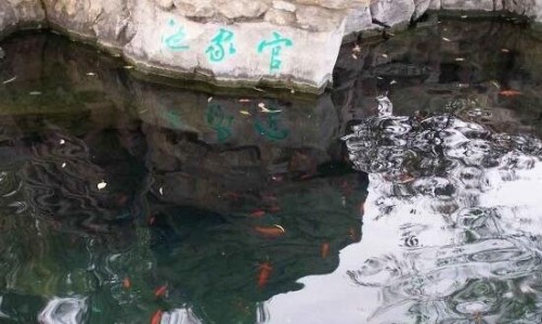 揭秘济南五龙潭怪事 验证千年传说潭内有秦琼化身的龙