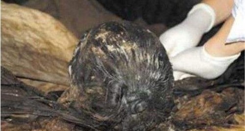 千年古墓竟挖出女活人视频 古尸凌惠平鲜如活人还会呻吟