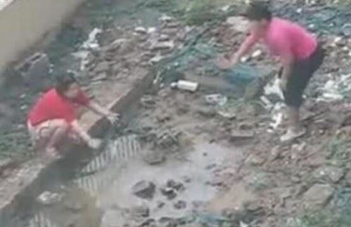 北京男女水坑虐猫事件 多次举起猫往水坑里摔残忍至极