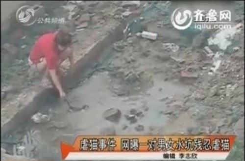 北京男女水坑虐猫事件 多次举起猫往水坑里摔残忍至极