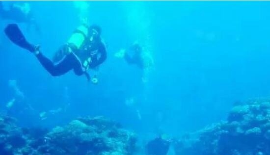 揭秘海底围墙之谜 沉睡万年前的古城墙来历不明