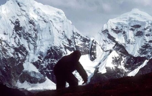 喜马拉雅山雪人之谜 全身灰黄色的毛半人半猿生物