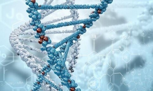 科学解释人死后的世界 人死后的世界是什么样的