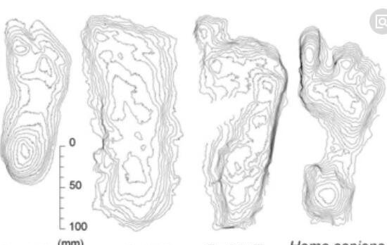 肯尼亚惊现150万年前脚印 科学证实是史前人类的脚印