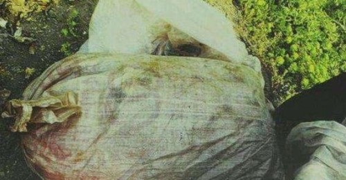 南京大学碎尸案破了吗？刁爱青碎尸案真相曝光
