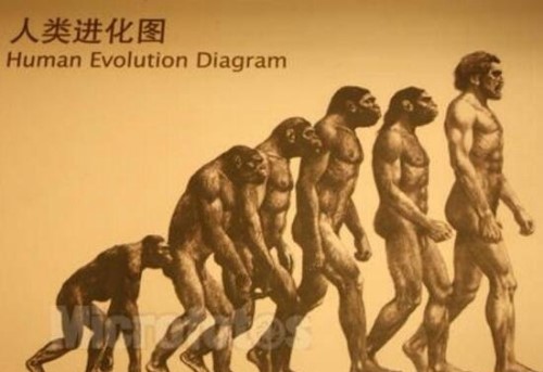 解密人类进化谜团 人类是杂交后代交换基因形成人