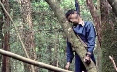 日本自杀森林之谜 上千人慕名前往自杀遍地尸骨/邪门至极