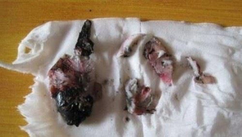 天涯曝光虐鱼女图片 女子直播烧烤金鱼给男友吃残忍