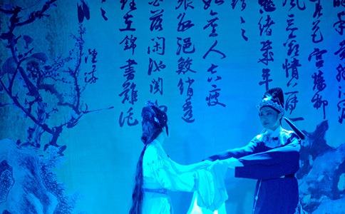 陆游母亲为何逼迫陆游休了唐婉?