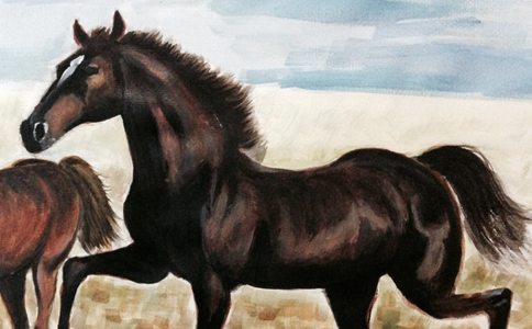 项羽心爱的坐骑乌骓马是怎么死的? 项羽心爱的坐骑乌骓马是怎么死的?