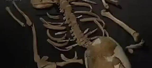 七千年前的“零口姑娘”究竟是怎么死的? 七千年前的“零口姑娘”究竟是怎么死的?