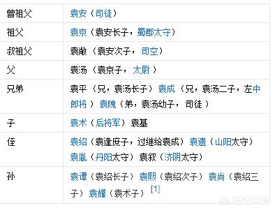 袁术和袁绍到底是什么关系? 袁术和袁绍到底是什么关系?