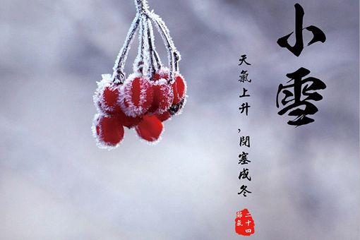 小雪节气代表什么 小雪来临要注意哪些问题 小雪节气代表什么 小雪来临要注意哪些问题