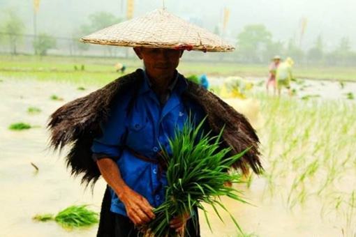 历史悠久的土家族农耕文化是怎样的? 历史悠久的土家族农耕文化是怎样的?