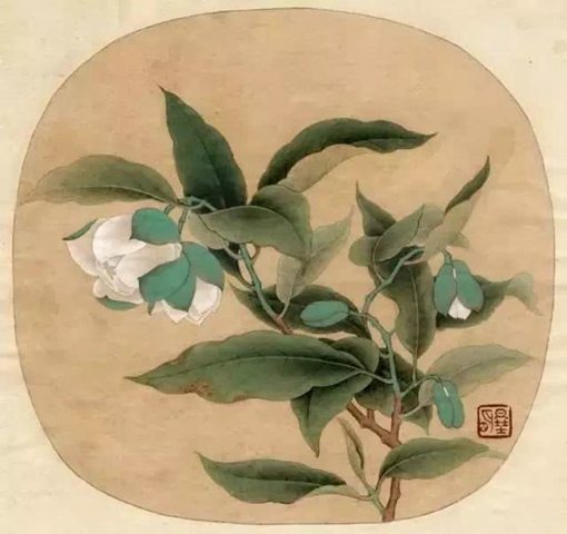 古代月亮的七种别称介绍 中华传统民俗别称大全 古代月亮的七种别称介绍 中华传统民俗别称大全