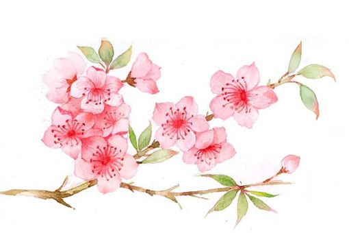 蔄姓由来介绍 蔄是繁体字还是简体字? 蔄姓由来介绍 蔄是繁体字还是简体字?