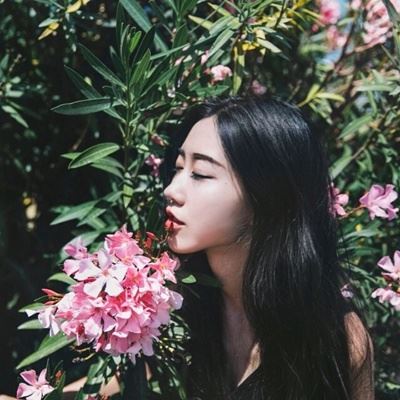 最近你的桃花是开了还是谢了?