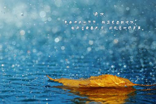 节气雨水是什么意思?雨水应该注意什么问题? 节气雨水是什么意思?雨水应该注意什么问题?